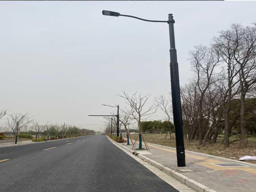 南海区上海综合杆 太阳能路灯工程